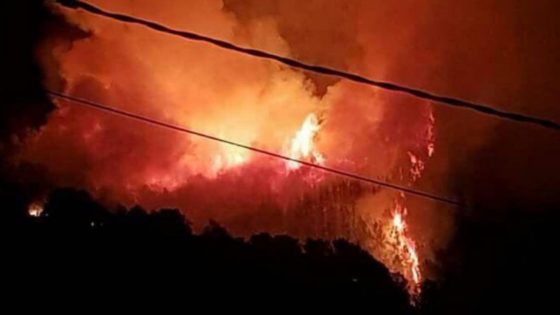 incendi-de-bonastre-nit-de-st-joan