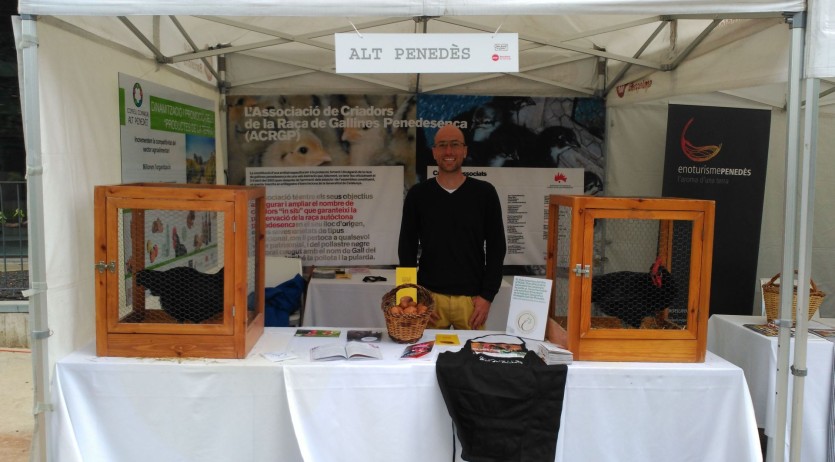 El Consell Comarcal i l’Associació de Criadors de Gallines Penedesenca participen a “Alicia’t”