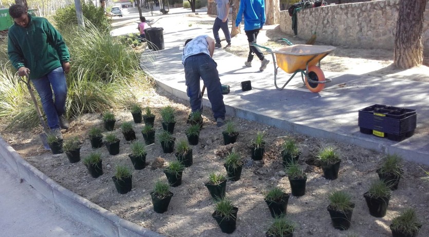 El PFI-PTT d’Auxiliar de vivers i jardins col·labora a millorar paisetgísticament Vilafranca