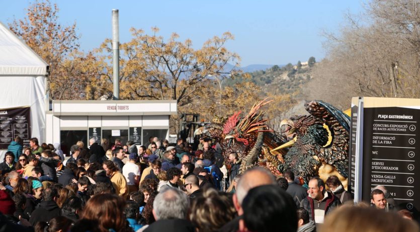 Més de 43.000 visitants a la Fira del Gall, augmentant els de Tarragona, Lleida i Girona
