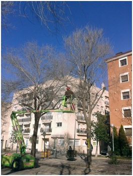 Es poden uns 80 oms al barri de Sant Julià per motius de seguretat