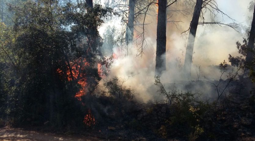 Incendi a Sant Martí Sarroca, en un indret que ja n’ha patit dos més en els darrers mesos