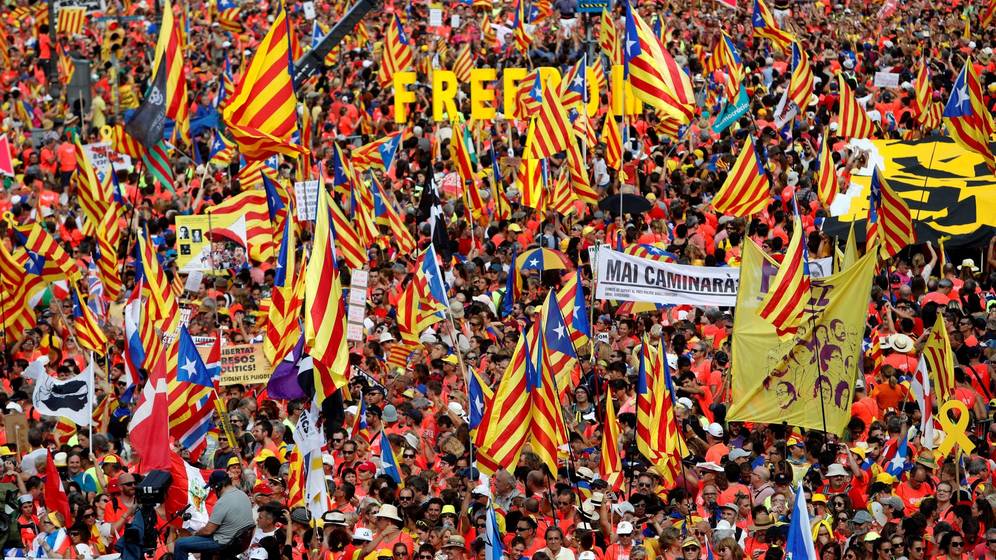 He anat a la manifestació de la Diada…