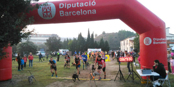 Èxit del 1r Canicross del Cava, amb més de 100 participants, i en el marc de la Festa del Gos