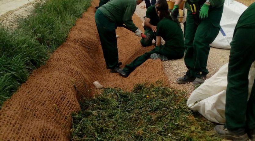 Continuen els projectes de formació i treball per millorar l’entorn natural de Vilafranca