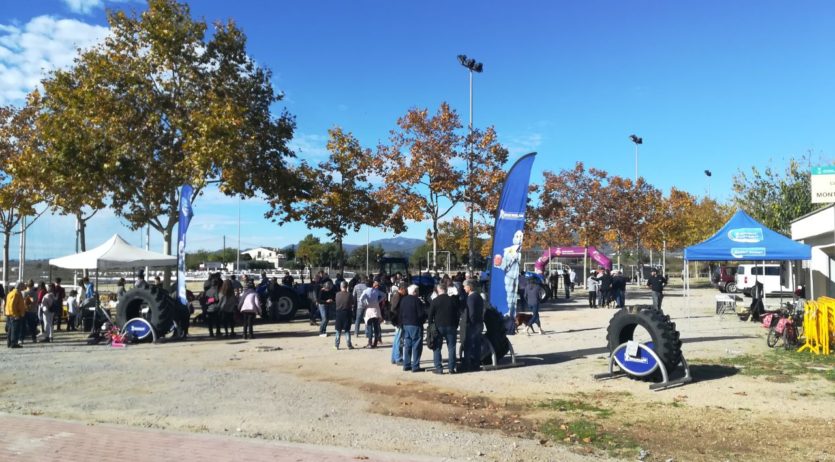 Aquest cap de setmana es celebren els actes centrals de la Festa del Most de la Ràpita