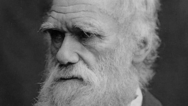 Mort a Gran Bretanya del científic Charles Darwin