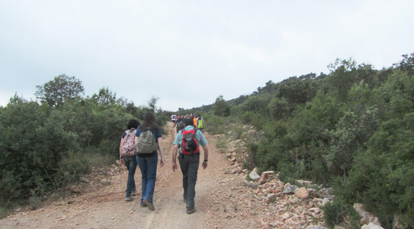 Caminada nocturna al turó de Samuntà organitzada per el Martinet