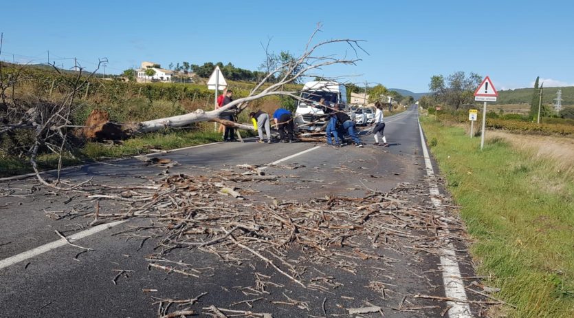 Una trentena de trucades al 112 relacionades amb el fort vent a l’Alt Penedès