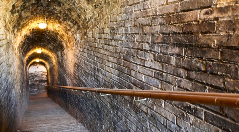 Les visites al CIARGA i al Castell de Penyafort tornen a partir d’aquest cap de setmana