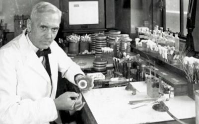 Alexander Fleming observa l’acció dels antibiòtics