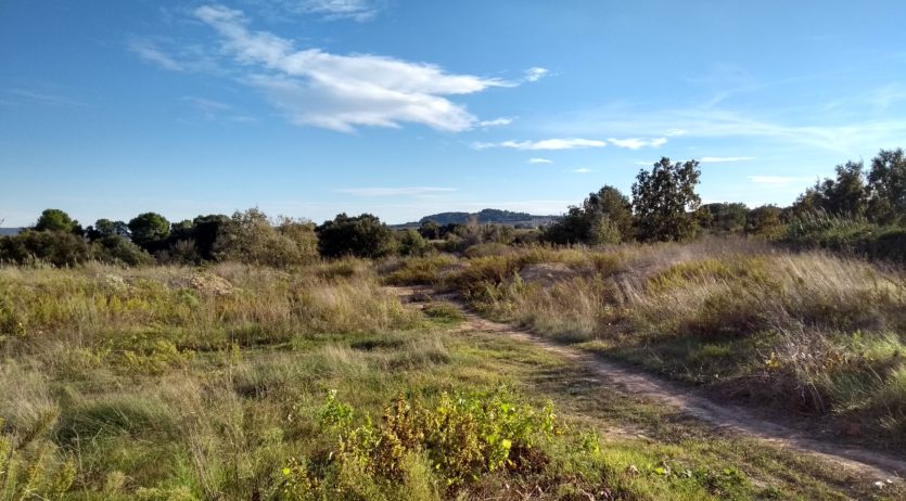 La CUP presenta al·legacions contra la construcció d’un circuit de motocròs al Pla del Penedès