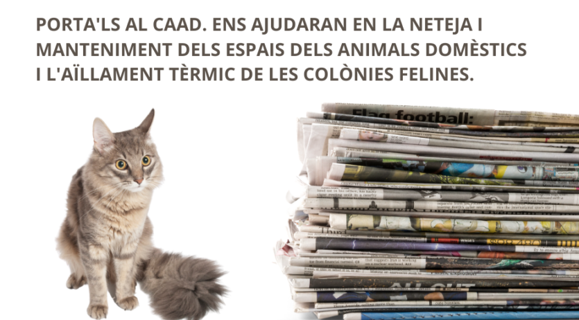 El CAAD inicia una campanya per a la recollida de diaris