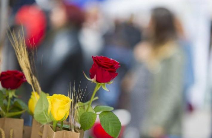 Sant Jordi se celebrarà amb parades de roses i llibres de professionals i diverses activitats