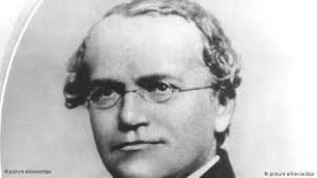 Naixement del fundador de la genètica Gregor Johann Mendel