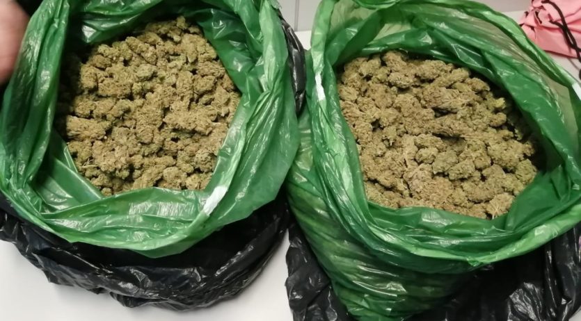 Detenen dues persones que transportaven tres quilograms de cabdells de marihuana a Sant Sadurní
