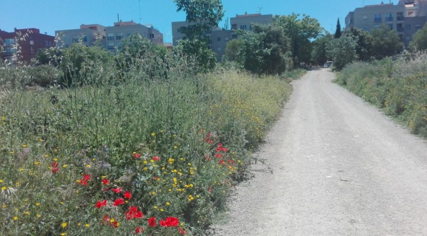 Les flors, protagonistes de ‘Els diumenges a Sant Pau’