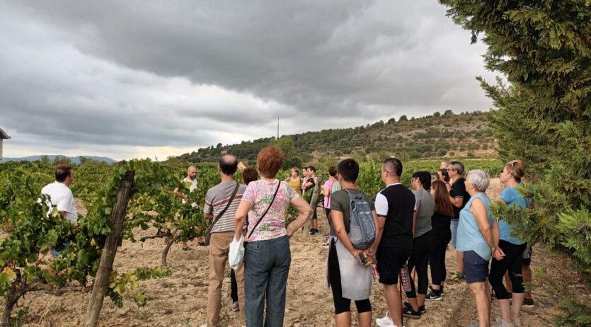 El Servei de Medi Ambient de Vilafranca organitza un itinerari guiat entre vinyes