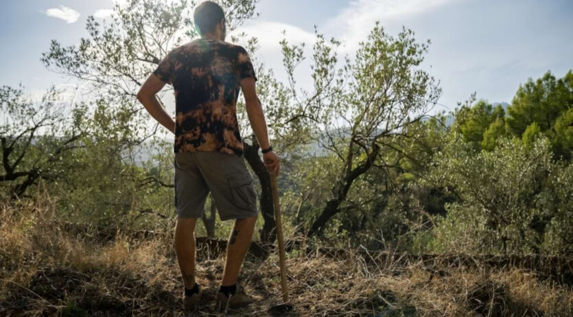 La comarca de l’Alt Penedès és la que disposa de més terres agrícoles recuperables