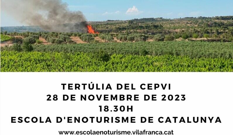 El CEPVI organitza una jornada per parlar sobre el mosaic forestal i el risc d’incendi