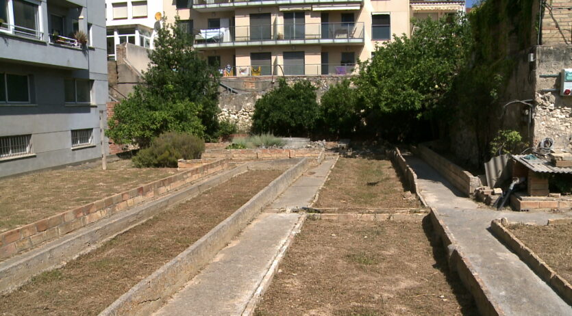 Taller familiar a l’hort de Cal Gallina per conèixer les plantes crasses o suculentes