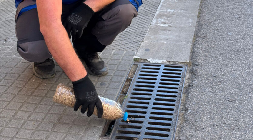 Comencen els tractaments per evitar la reproducció dels mosquits en espais públics a Vilafranca