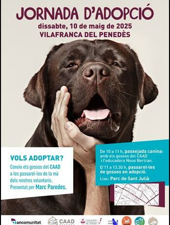 El CAAD Penedès organitza una passarel·la d’adopció de gossos a Vilafranca