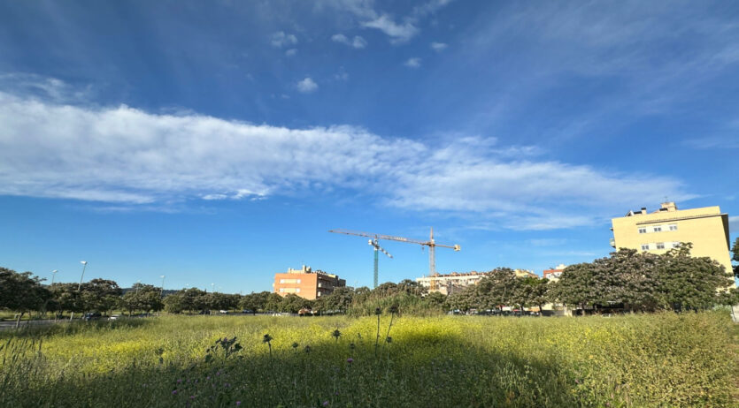 L’Ajuntament de Vilafranca inscriu tres solars a la Reserva Pública de la Generalitat