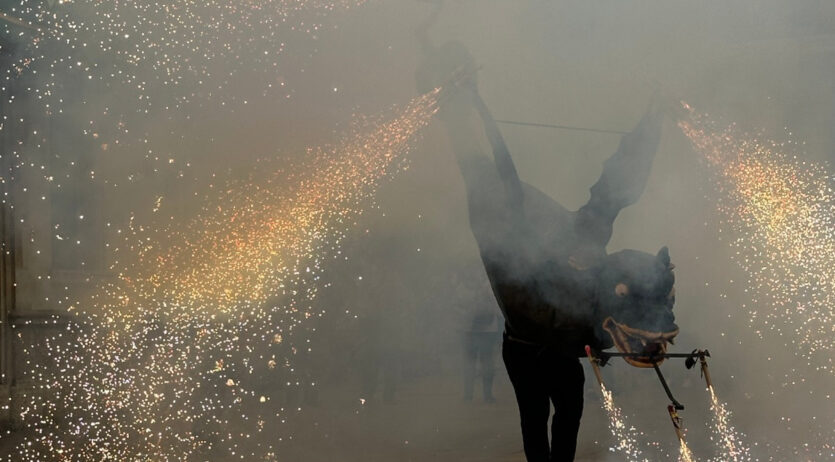 Vilafranca commemorarà la declaració del Drac com a Bé Cultural d’Interès Nacional