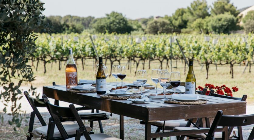 Família Torres celebra la verema amb una jornada gastronòmica i vivencial al Penedès