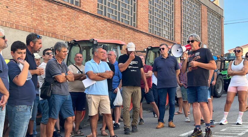 Els viticultors protesten davant la previsió que els preus del raïm baixin significativament