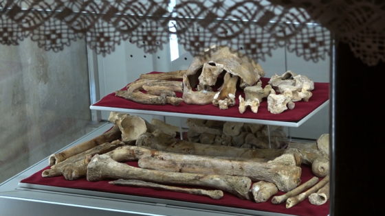 Nou recorregut de la processó pel 325è aniversari de l’arribada de les relíquies de Sant Fèlix