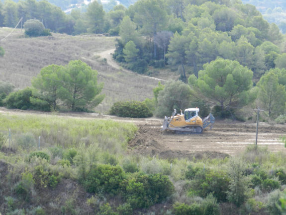 Bosc Verd presenta una denúncia davant la Fiscalia de Medi Ambient per les obres de l’Agroparc