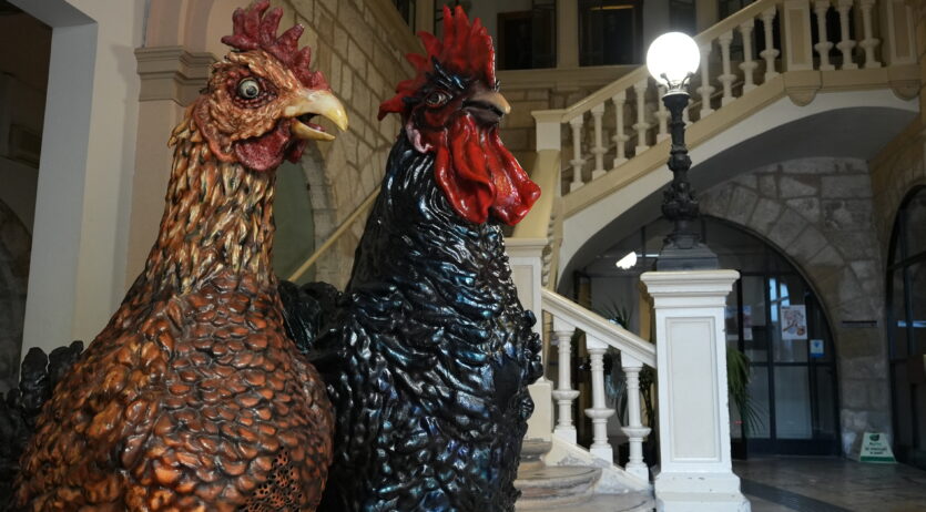 El Gall Tomasot i la Gallina Ballarica protagonitzaran el pregó de la Fira del Gall 2025