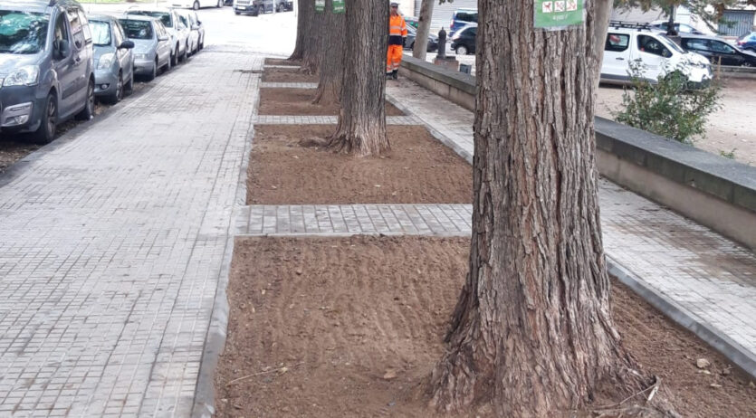 L’Ajuntament de Vilafranca fa una actuació de sembra d’escocells durant la tardor